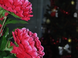 Новий 2015 Рік  ТЦ 